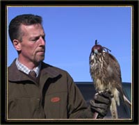 Kinnitty
Falconry