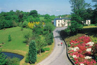 Ross Lake - Rosscahill (Galway)