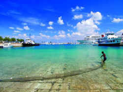 Bermuda Fishing